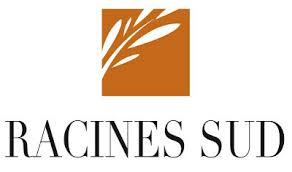 creation site web racines sud